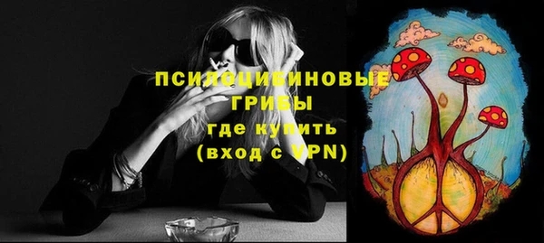 меф Белокуриха