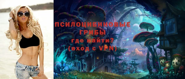 меф Белокуриха
