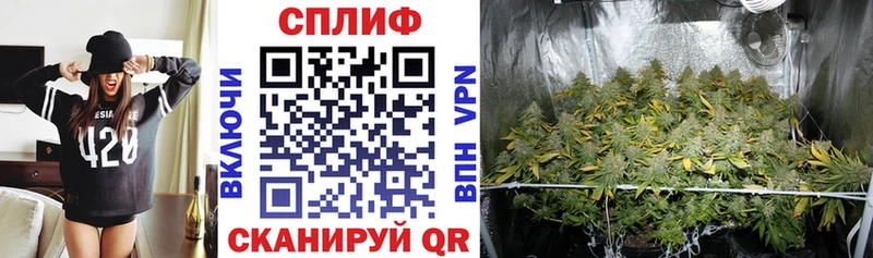 купить   Ярославль  Бошки Шишки White Widow 